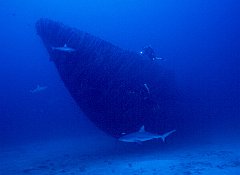 USS Apogon